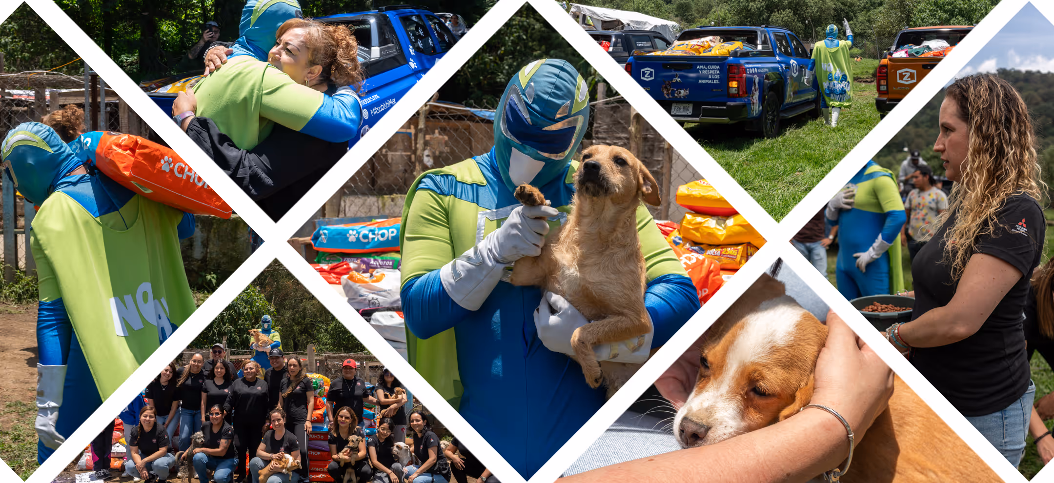 Mitsubishi Motors y Zadrigman superan meta de donación por el Día del Perro con más de 7 toneladas de croquetas para albergues