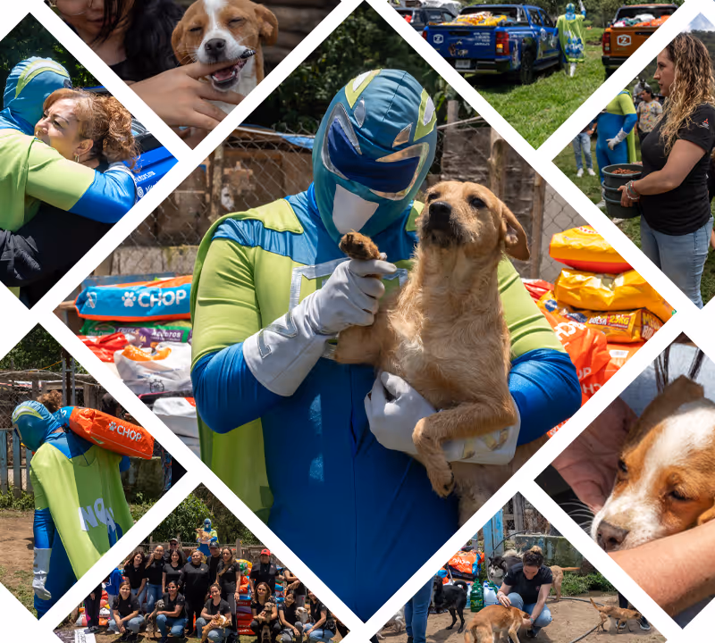 Mitsubishi Motors y Zadrigman superan meta de donación por el Día del Perro con más de 7 toneladas de croquetas para albergues